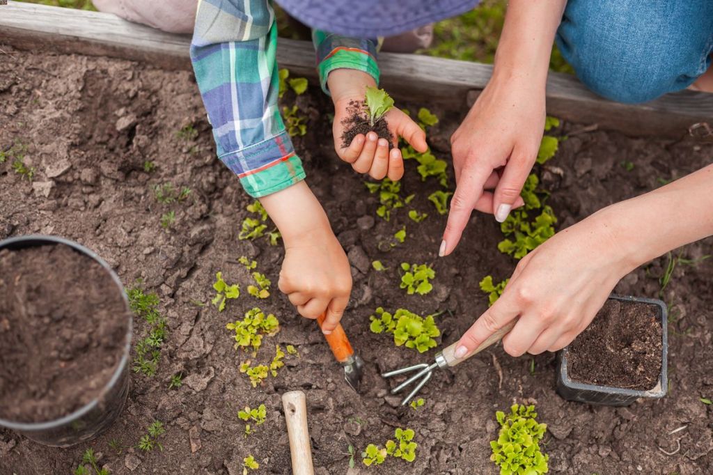 Activité jardinage : quelques idées ludiques pour les enfants