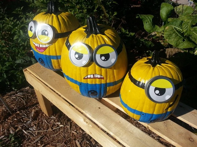 Citrouille halloween minions