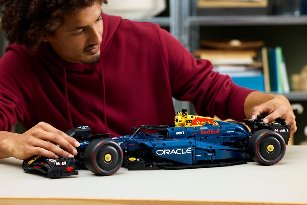 LEGO Technic 42206 Voiture F1 Oracle Red Bull Racing RB20